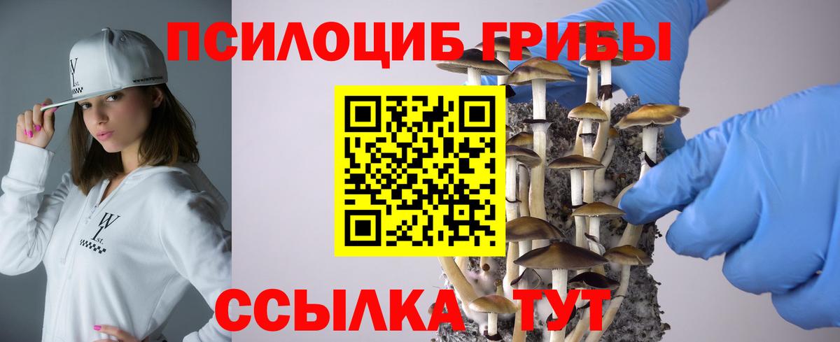 Светлоград  Псилоцибиновые грибы прущие грибы  купить закладку  Вход с VPN  Псилоцибиновые грибы мухоморы 